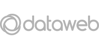 logo dataweb